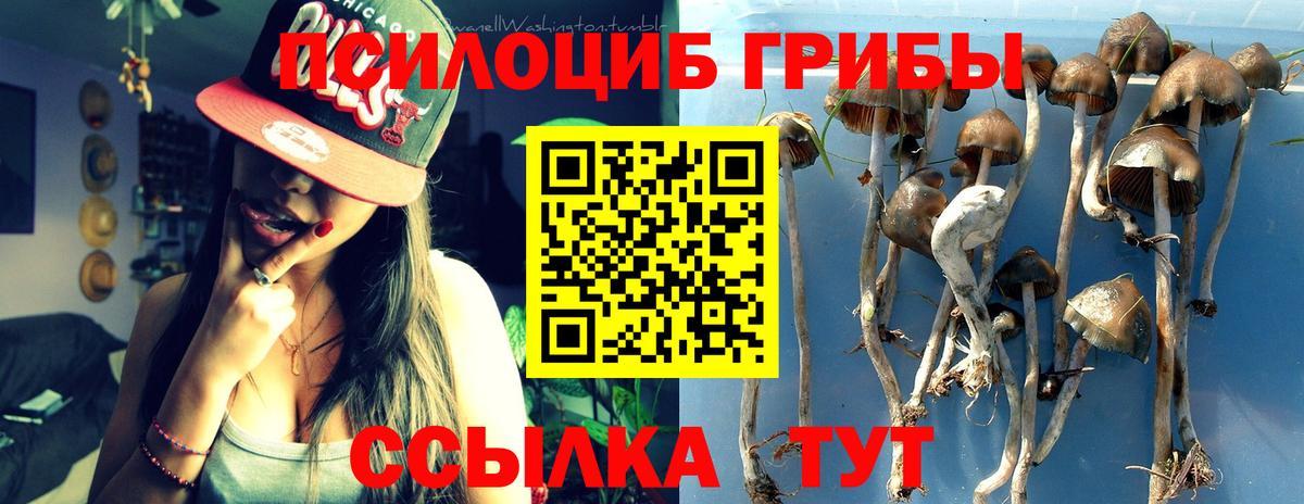 Псилоцибиновые грибы Psilocybine cubensis  Вход с VPN  Алатырь 